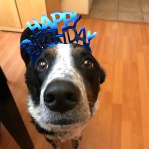 Meet your Posher, Carissa